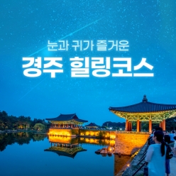 경북e누리 경주 힐링코스 동궁과월지+엑스포공원+대중음악박물관