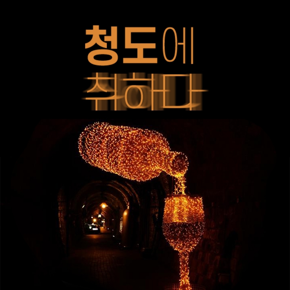 경북e누리 청도 와인터널+한국코미디타운+프로방스포토랜드