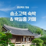 경북e누리 청송 송소고택+백일홍 카페